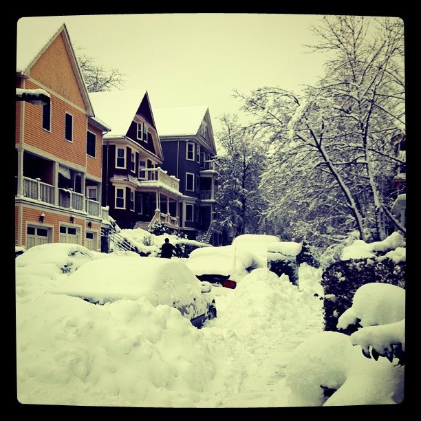 It's a winter wonderland