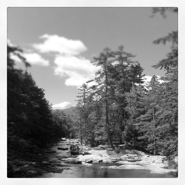 Fun day in NH