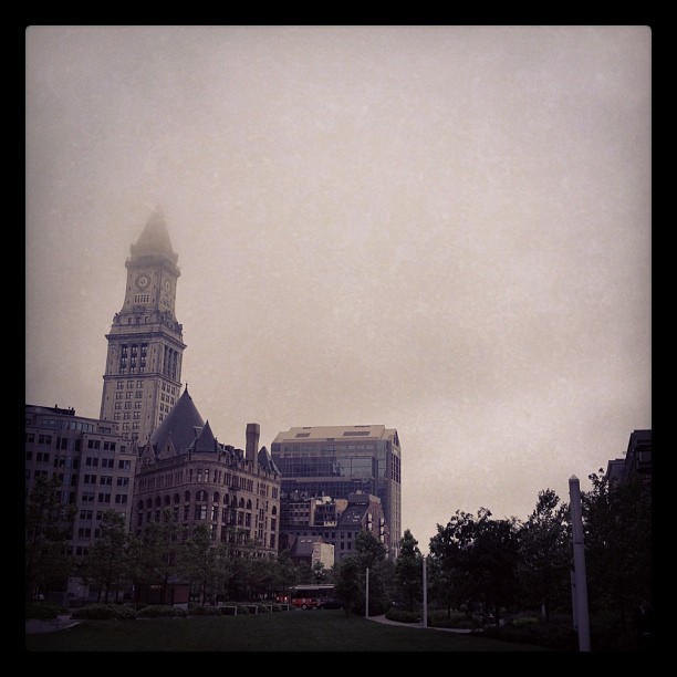 Foggy day